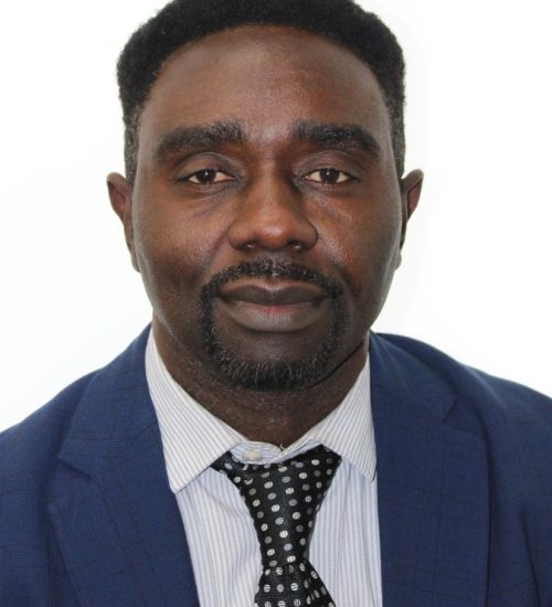 Dr. Nnamdi Ogbuke